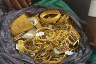 Karachi Housemaid Arrested for Stealing 20 Tola Gold