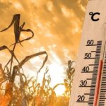 Pakistan Records Second Warmest Year in 65 Years in 2025