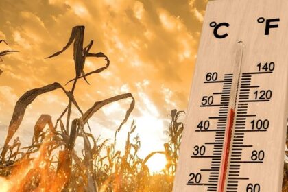 Pakistan Records Second Warmest Year in 65 Years in 2025